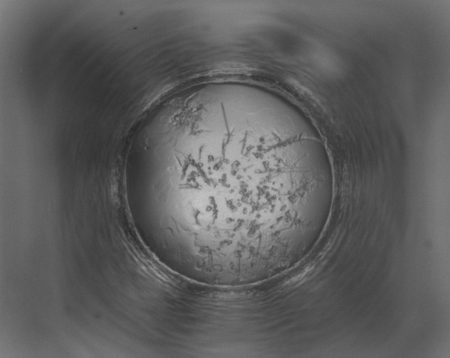 X0000073451401200608181226