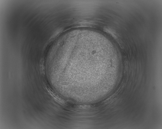 X0000073451403200608181227