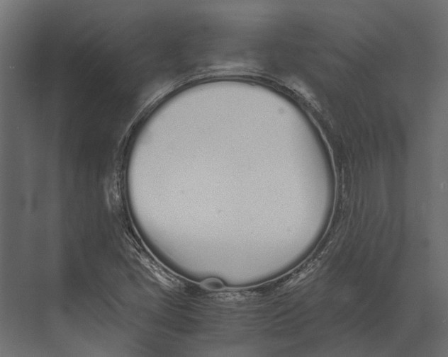 X0000073451405200608181227