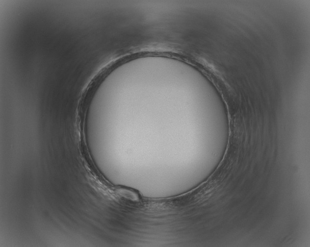 X0000073451408200608181227