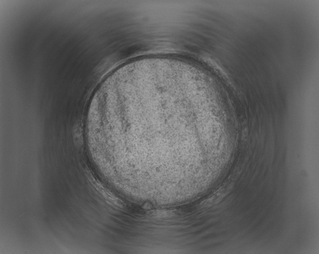 X0000073451409200608181227