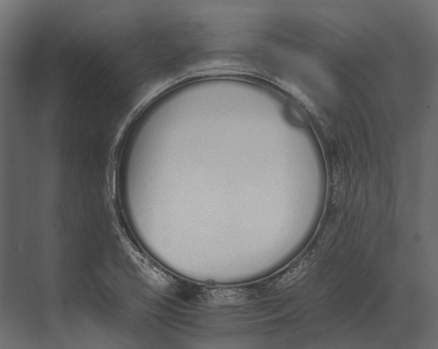 X0000073451413200608181227