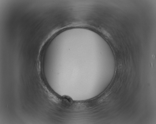 X0000073451414200608181227