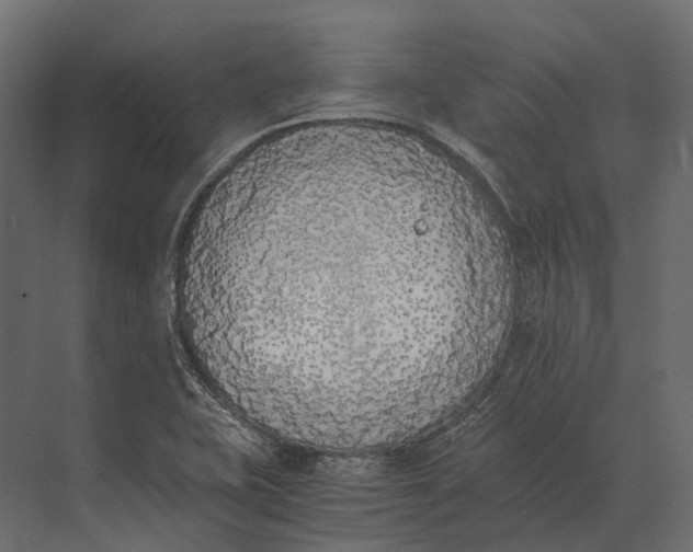 X0000073451415200608181227