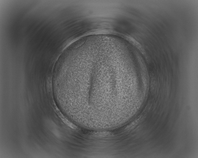 X0000073451417200608181227