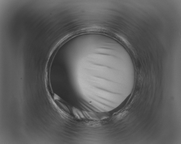 X0000073451418200608181227