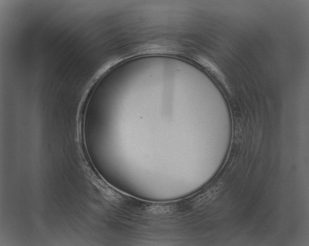 X0000073451419200608181227