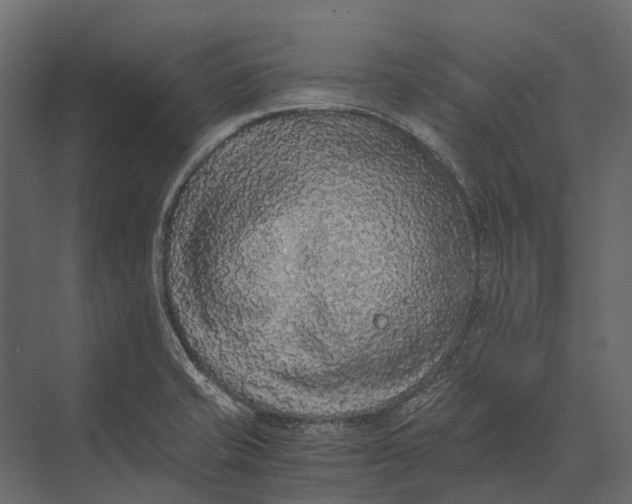 X0000073451421200608181227