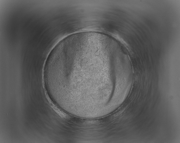 X0000073451423200608181227