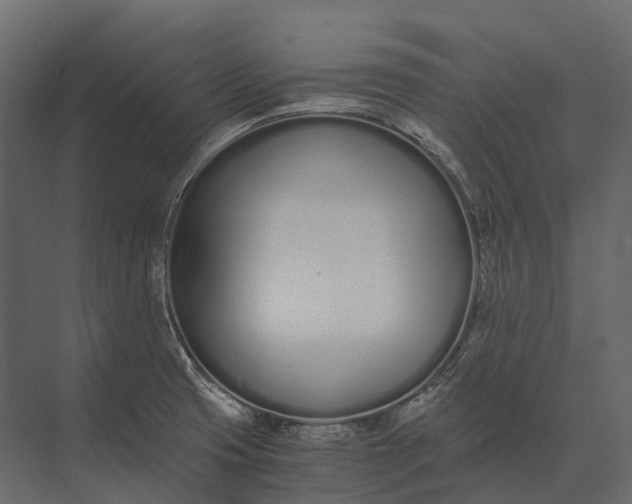 X0000073451425200608181227