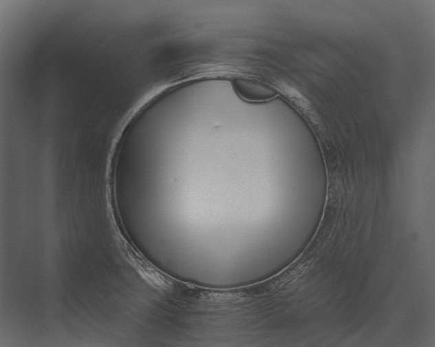 X0000073451427200608181227