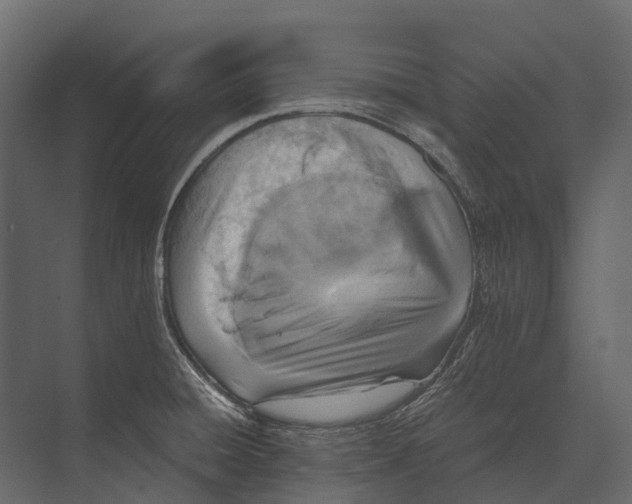 X0000073451428200608181227