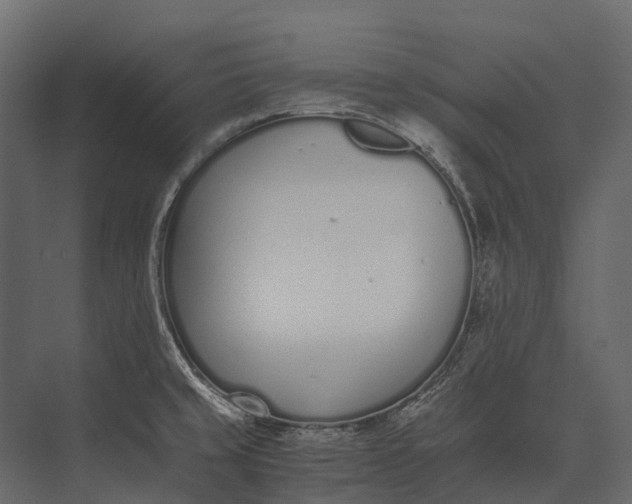 X0000073451429200608181227