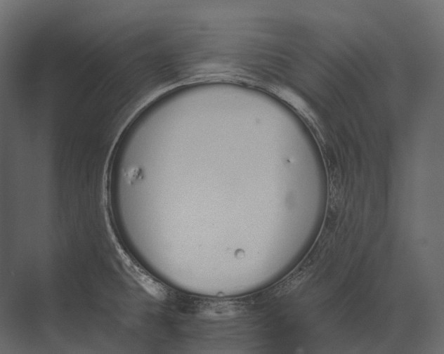 X0000073451431200608181227