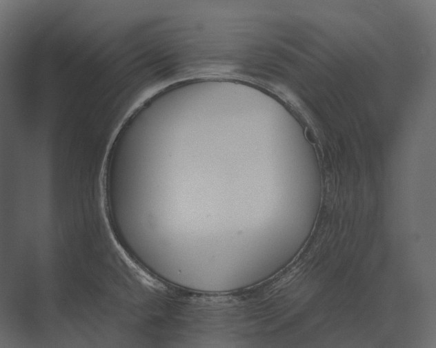 X0000073451432200608181227