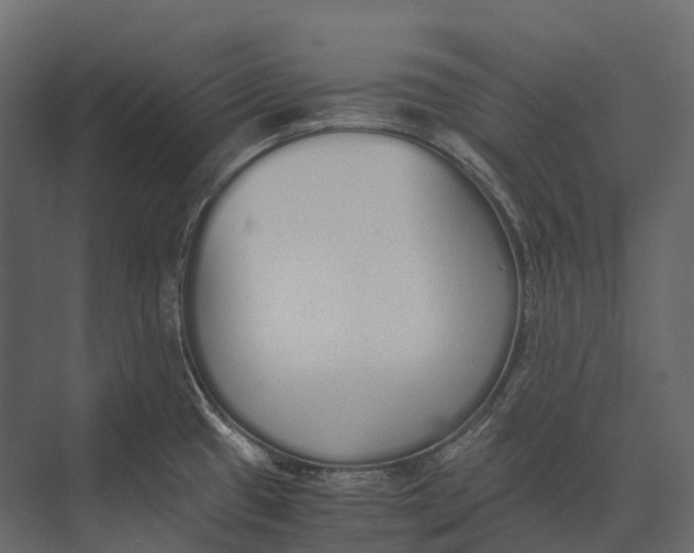 X0000073451433200608181227