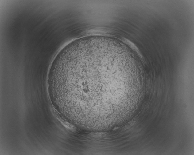 X0000073451435200608181227