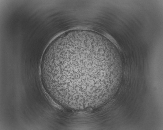 X0000073451436200608181227