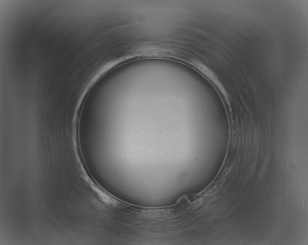 X0000073451437200608181227