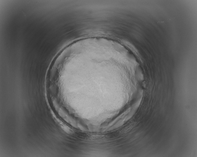 X0000073451439200608181227