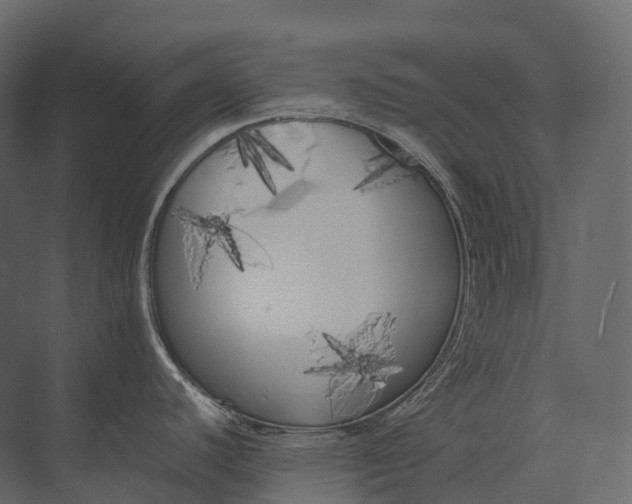 X0000073451440200608181227