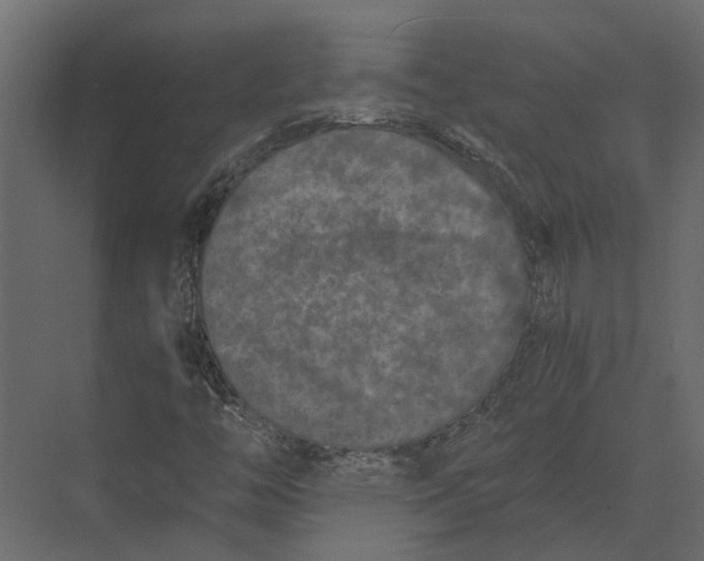 X0000073451446200608181226