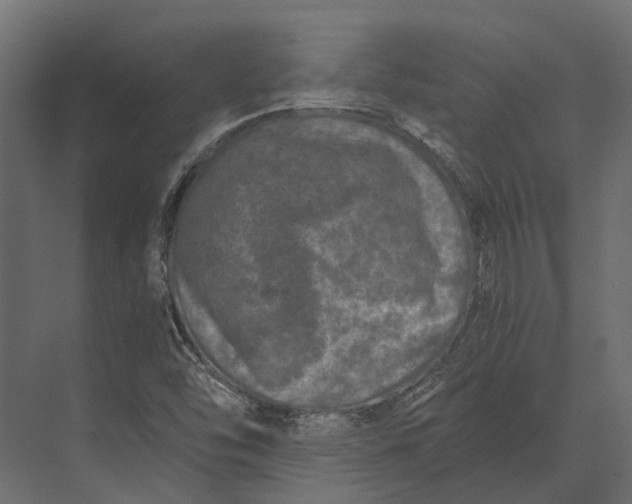 X0000073451454200608181226