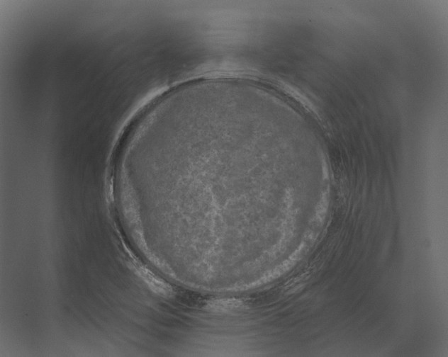 X0000073451462200608181226