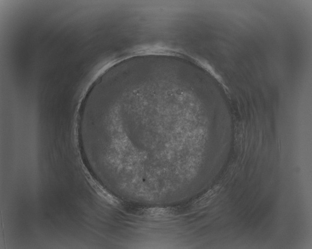 X0000073451463200608181226