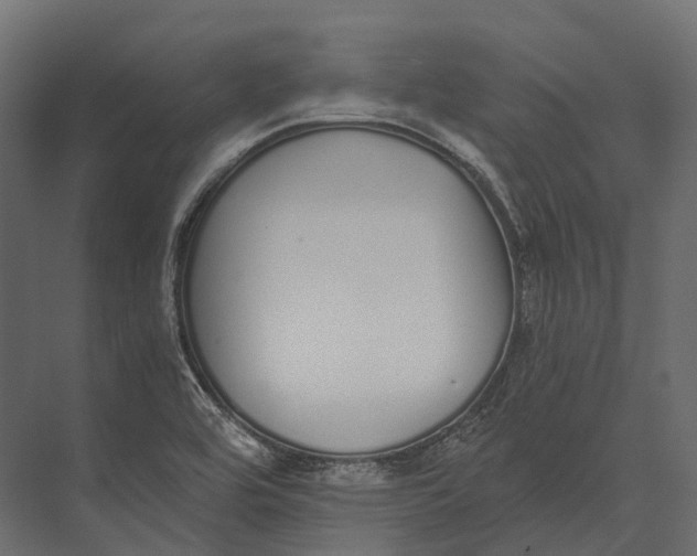 X0000073451464200608181226