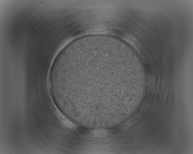 X0000073451466200608181226