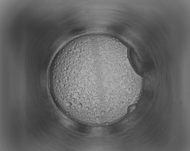 X0000073451467200608181226