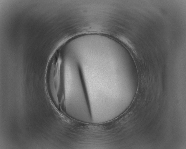 X0000073451469200608181226