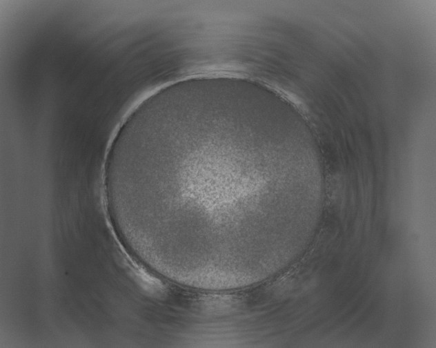 X0000073451470200608181226