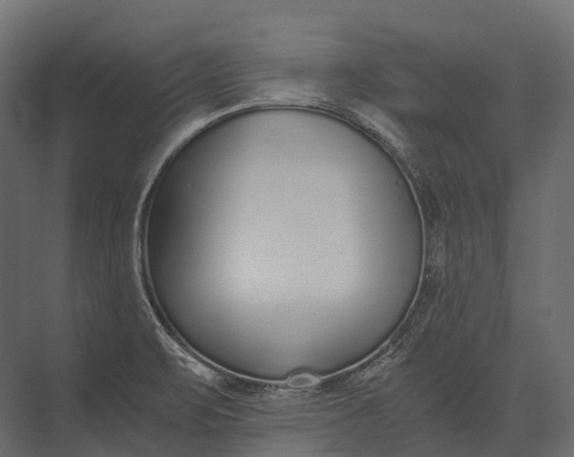 X0000073451471200608181226