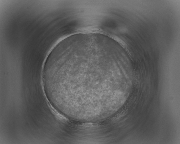 X0000073451478200608181226