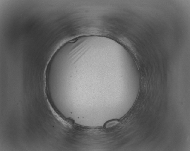 X0000073451479200608181226