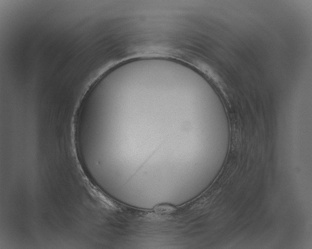 X0000073451480200608181226