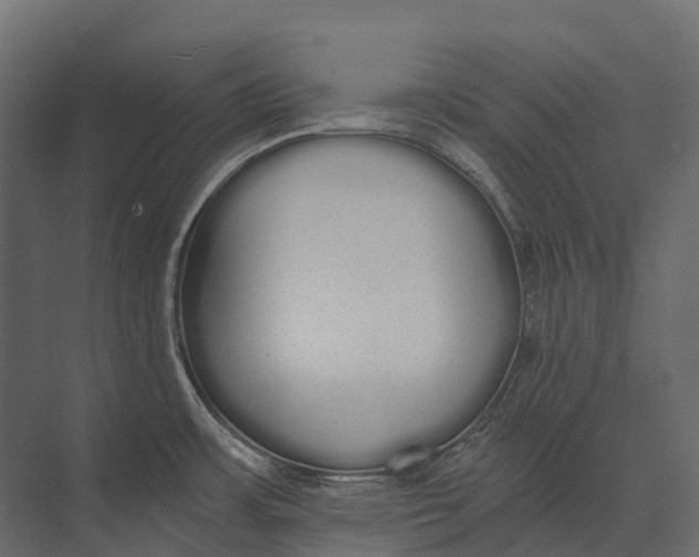 X0000073451483200608181226