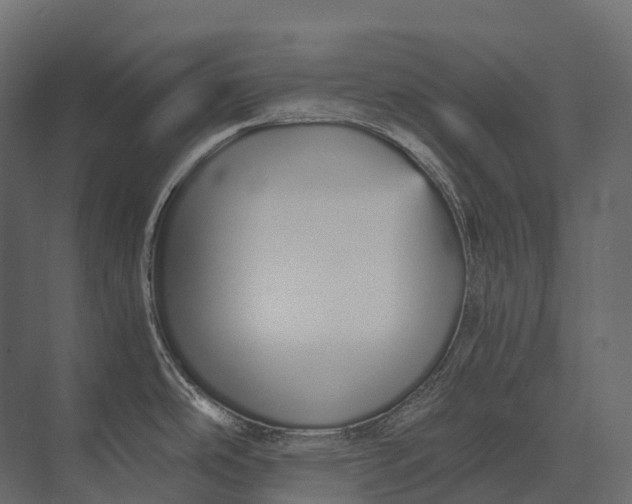 X0000073451486200608181226