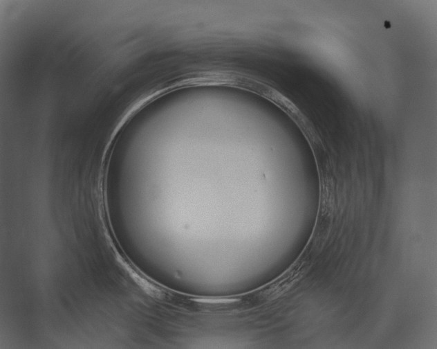 X0000073451487200608181226