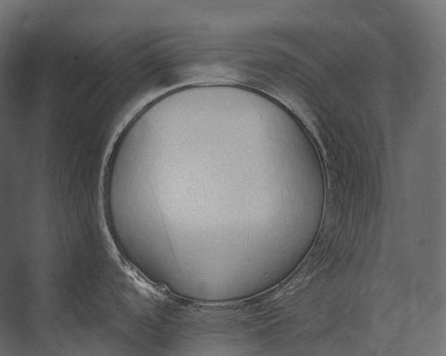 X0000073451488200608181226