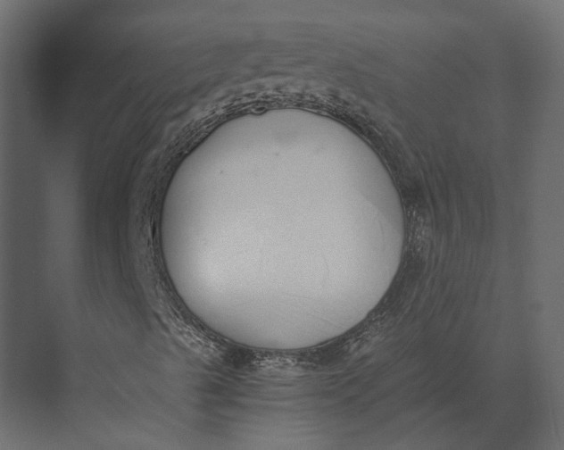 X0000073451489200608181225