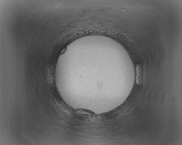 X0000073451491200608181225