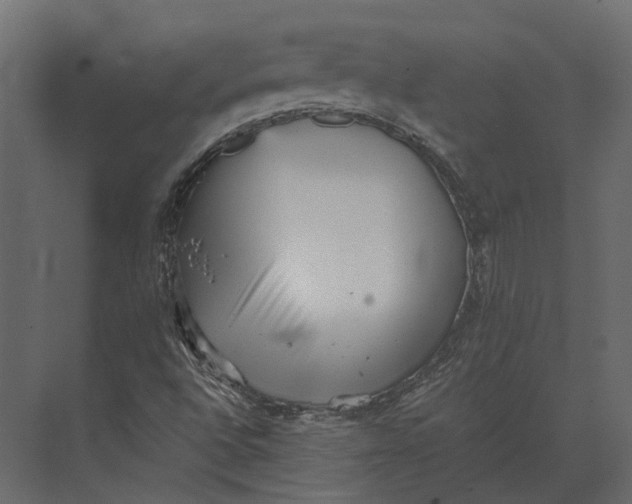 X0000073451496200608181225