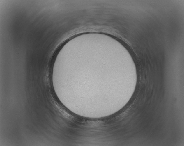 X0000073451498200608181225