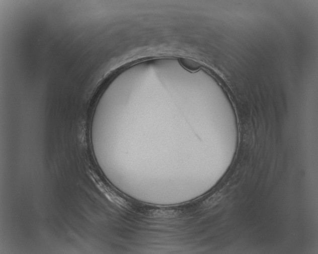 X0000073451499200608181225