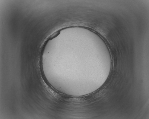 X0000073451500200608181225