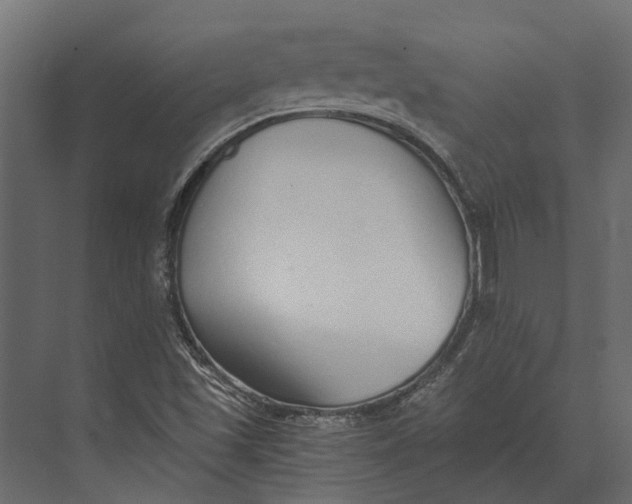 X0000073451501200608181225