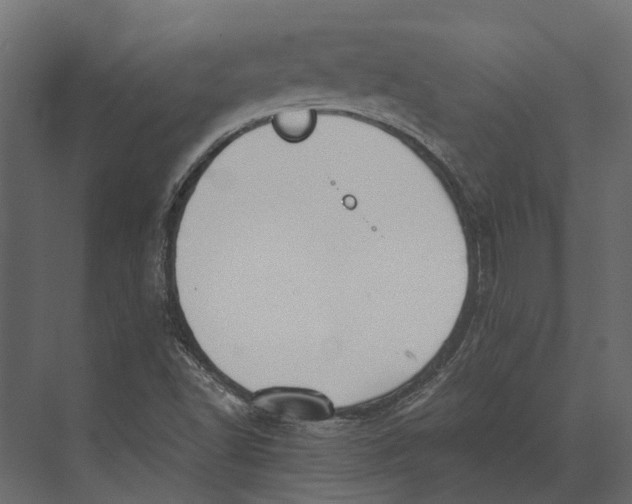 X0000073451502200608181225